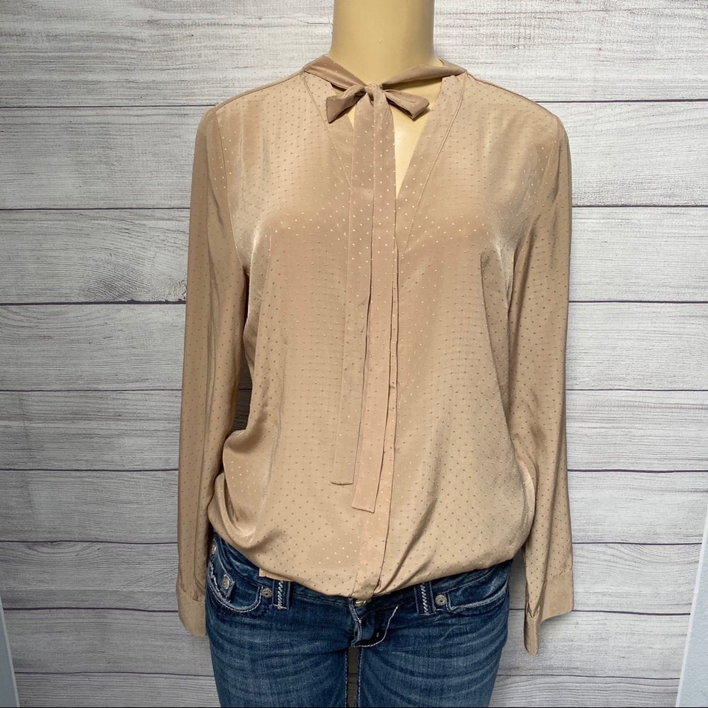 The Limited button up blouse
